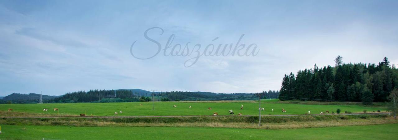 Agroturystyka Sloszowka Villa Duszniki Zdroj Exterior photo